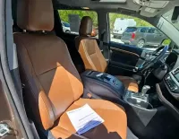 Clean Brown Highlander