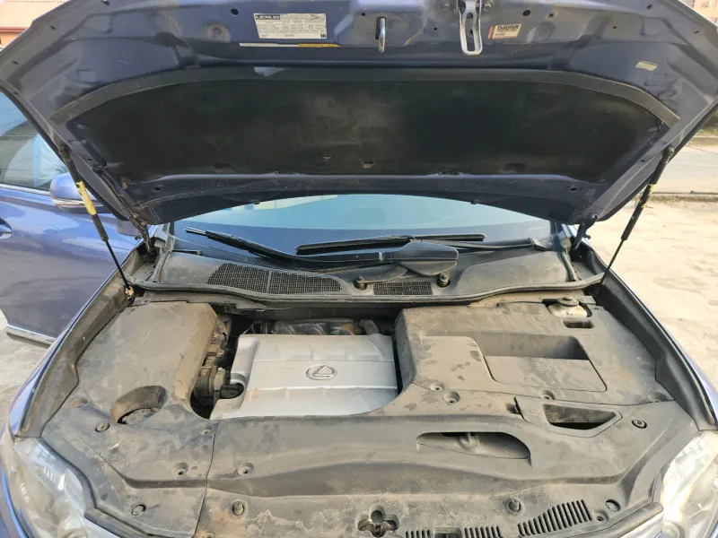 Thumbnail 5 of 2010 Lexus RX