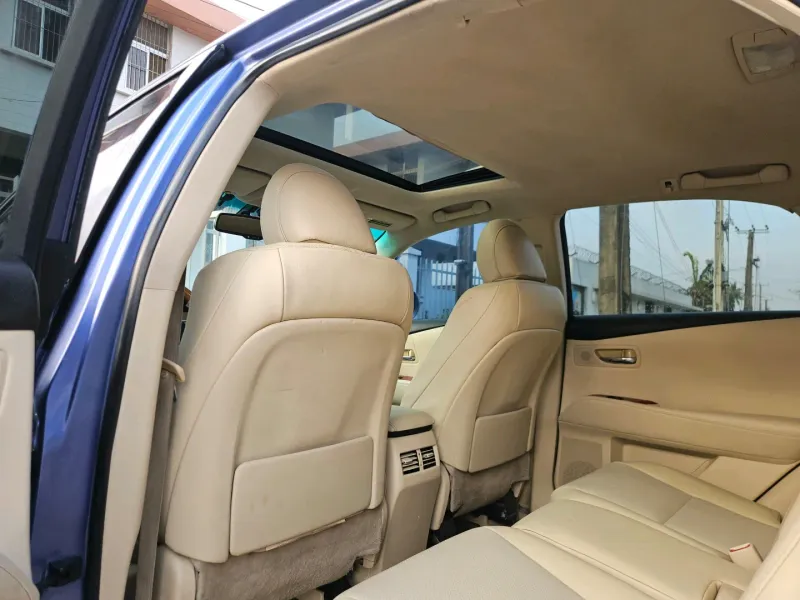 Thumbnail 9 of 2010 Lexus RX