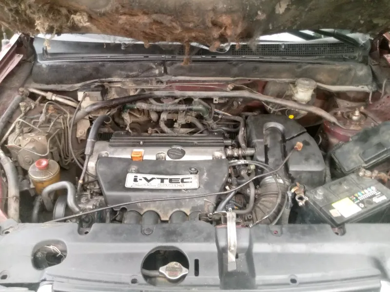 Thumbnail 5 of 2004 HONDA CR-V
