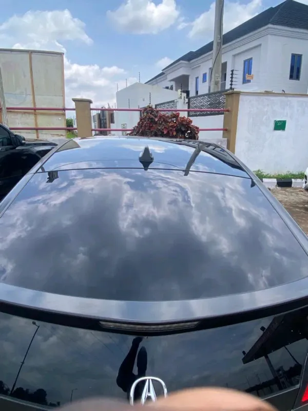 Thumbnail 4 of 2010 Acura Acura ZDX