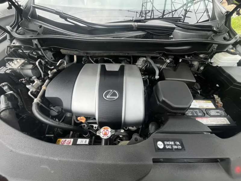 Thumbnail 11 of 2019 Lexus RX