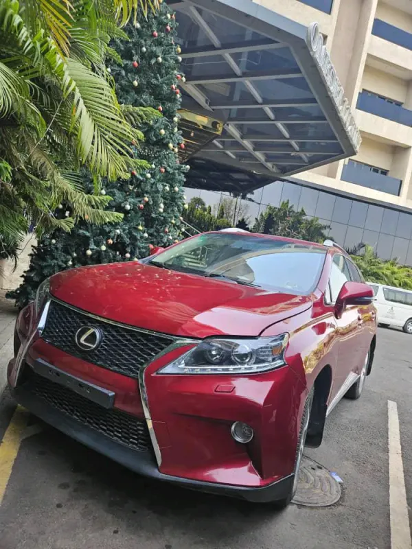 Main image of 2010 Lexus RX