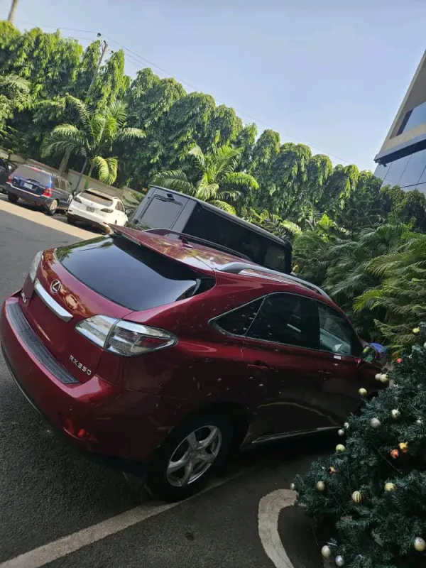 Thumbnail 8 of 2010 Lexus RX