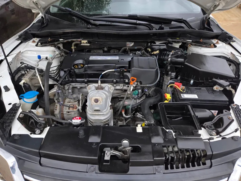 Thumbnail 14 of 2014 Honda Accord