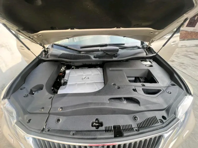 Thumbnail 9 of 2010 Lexus RX