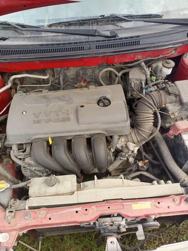 Thumbnail 6 of 2004 Toyota Corolla