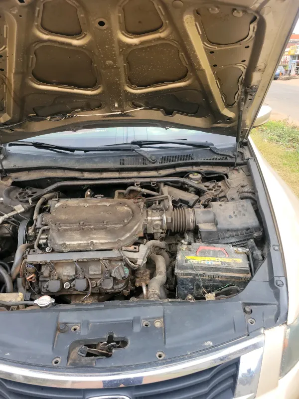 Thumbnail 7 of 2008 Honda Accord